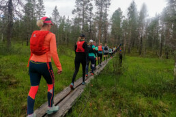 Niilanpää-Sivakkaoja-Laanila-lenkki ma 19.7., polkujuoksuviikko