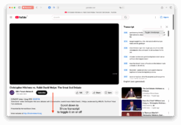 screenshot YouTube - transcript